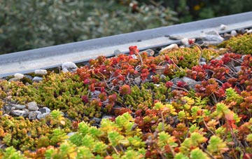 the cost of Meshaw green roof installation