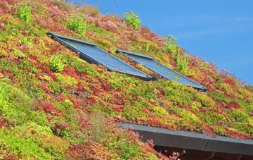 Meshaw living roof systems