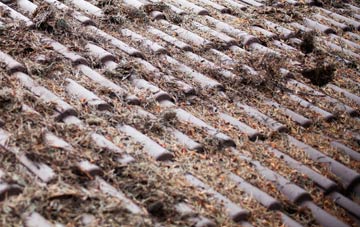 Meshaw roof cleaning companies