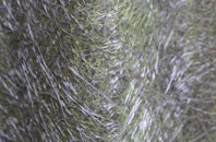 Meshaw fibreglass roof work